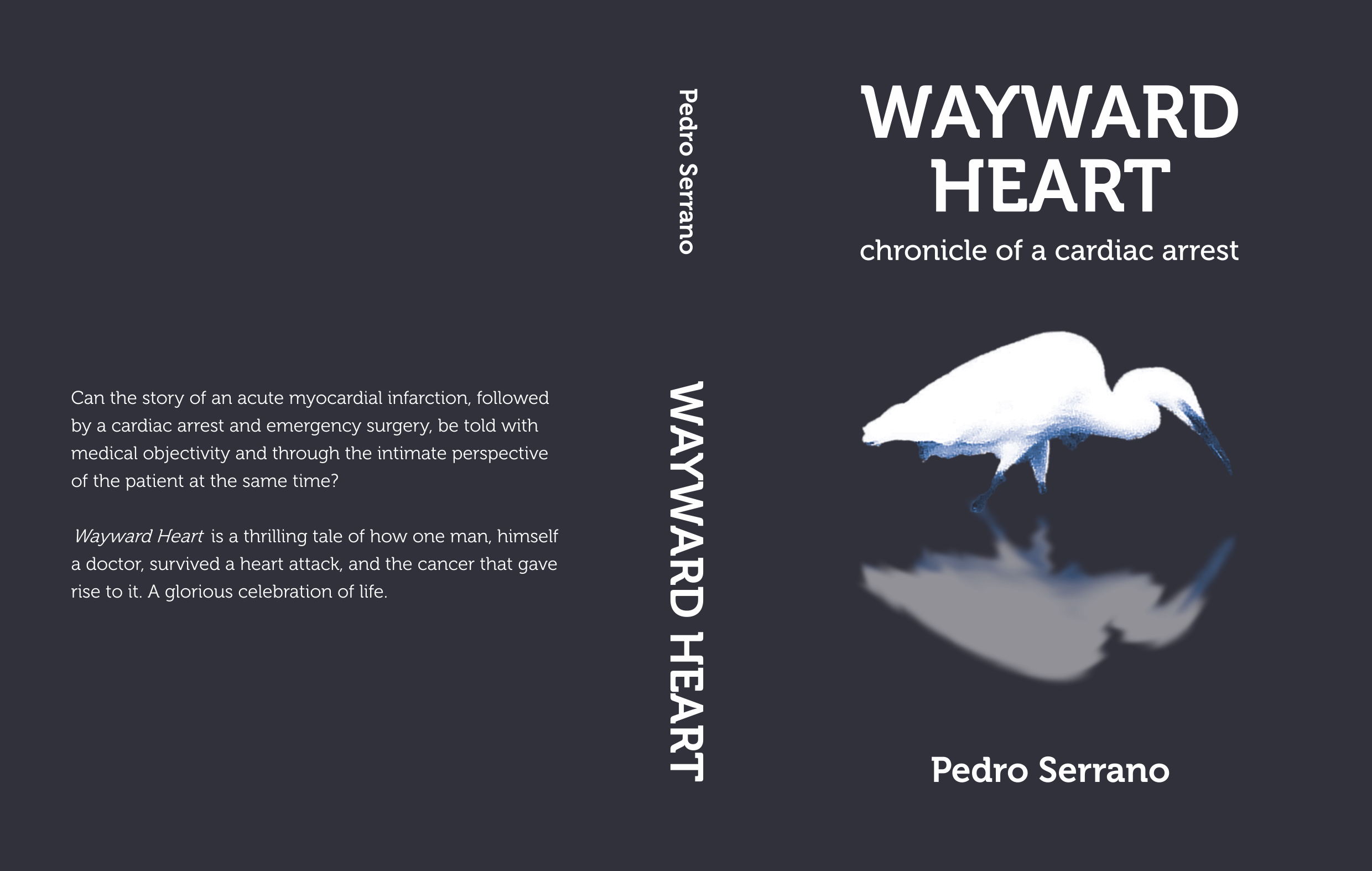 SEM COMPROMISSO.com: Wayward Heart (english version of Coração Independente)